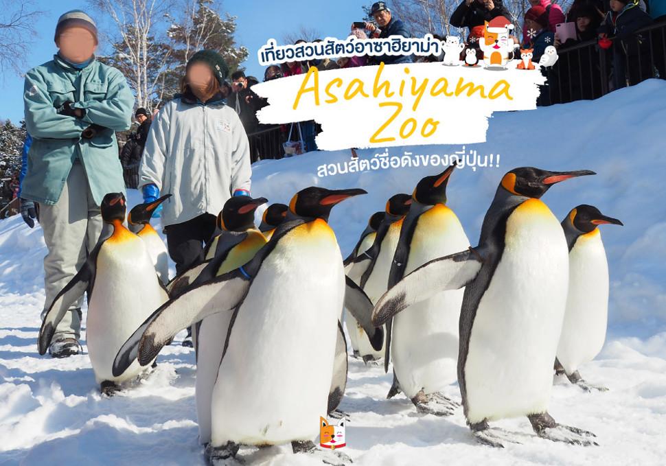 สวนสัตว์อาซาฮิยาม่า Asahiyama Zoo 