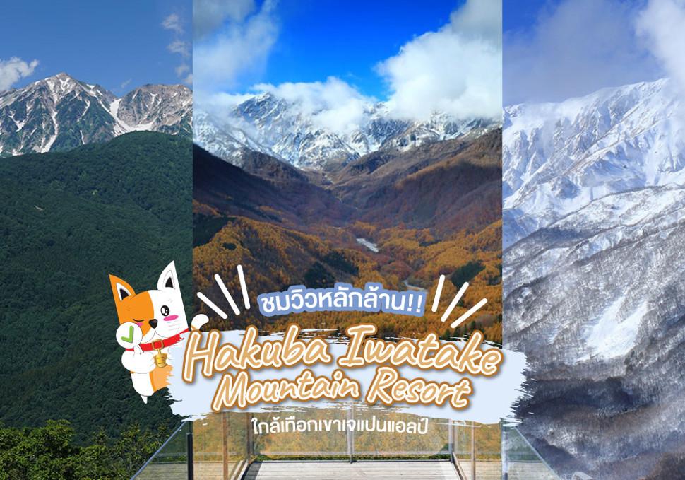 ชมวิวหลักล้าน กับ Hakuba Iwatake Mountain Resort ใกล้เทือกเจแปนแอลป์!