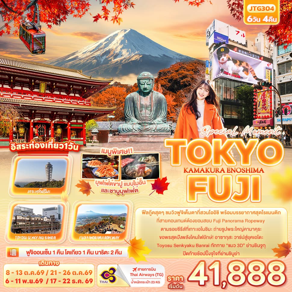 Special Moment..TOKYO FUJI KAMAKURA ENOSHIMA  - ทัวร์ 6 วัน 4 คืน