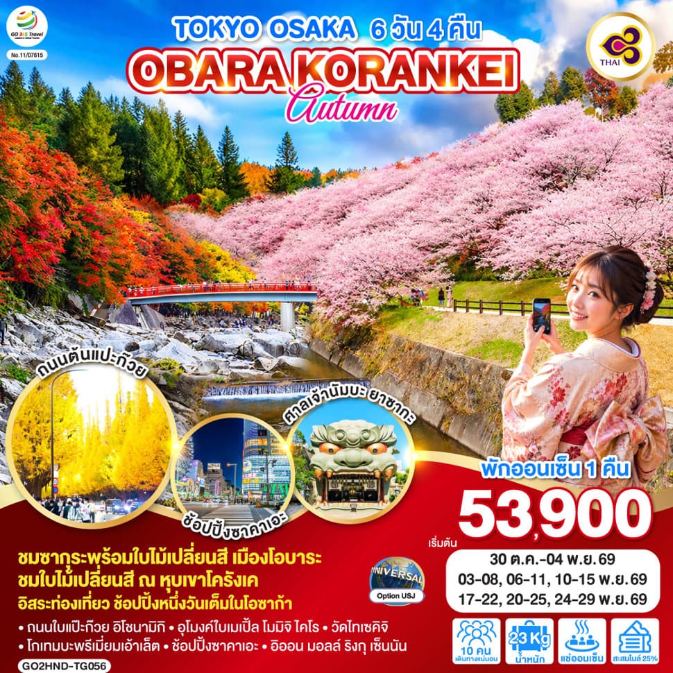 TOKYO OSAKA OBARA KORANKEI AUTUMN  6D 4N โดยสายการบินไทย [TG] - ทัวร์ 6 วัน 4 คืน