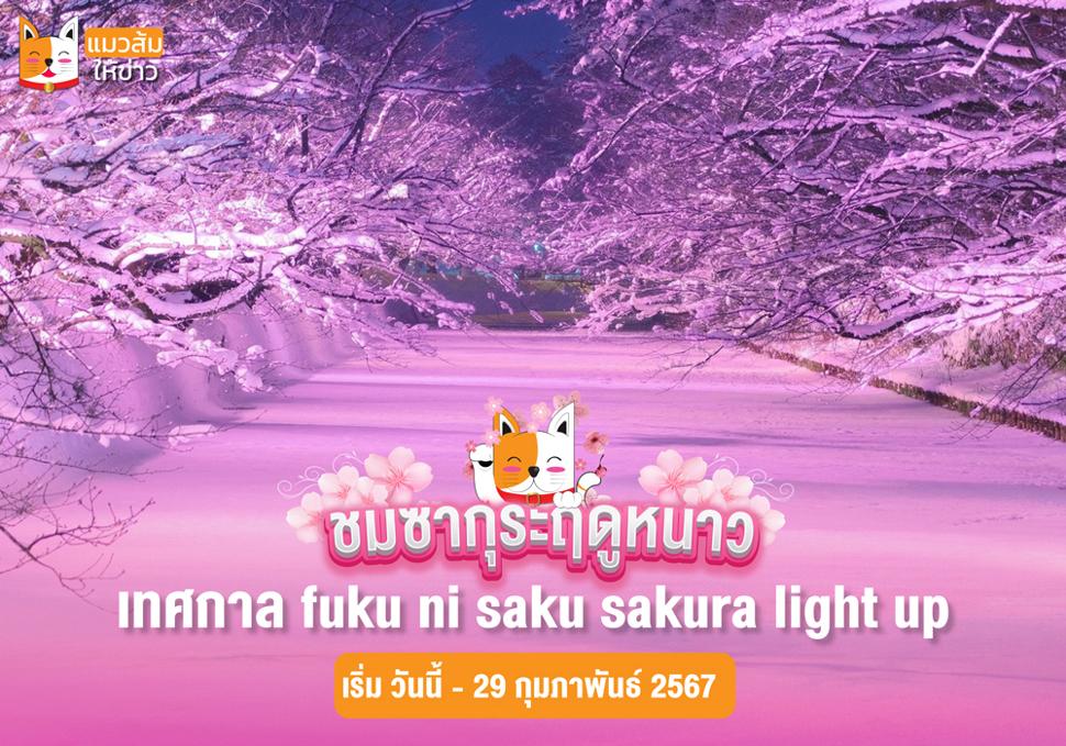 Fuyu in Saku Sakura Light Up