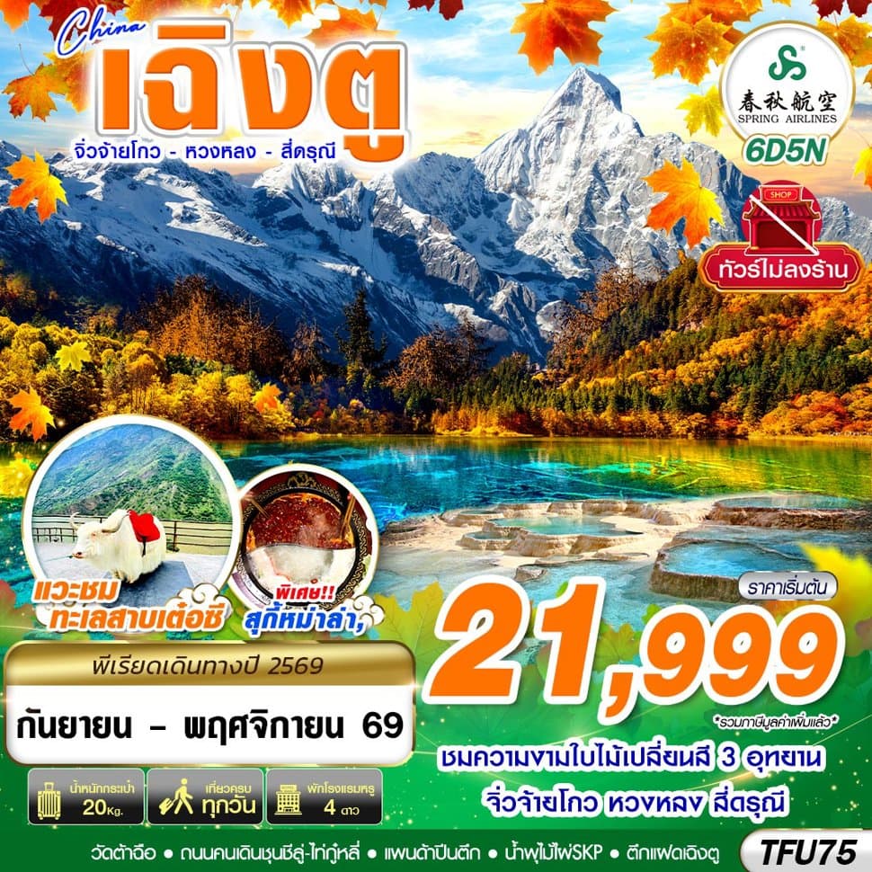 TFU75 9C BKK เฉิงตู สี่ดรุณี หวงหลง จิ่วจ้ายโกว ไม่ลงร้าน 6D5N - ทัวร์ 6 วัน 5 คืน
