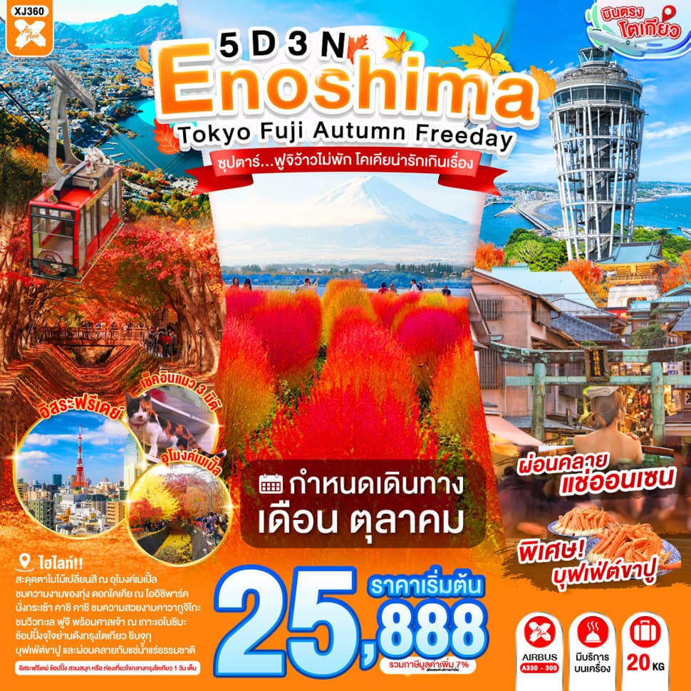 ENOSHIMA TOKYO FUJI AUTUMN FREEDAY 5D 3N BY XJ --- OCT'26 -- ซุปตาร์...ฟูจิว้าวไม่พัก โคเคียน่ารักเกินเรื่อง - ทัวร์ 5 วัน 3 คืน